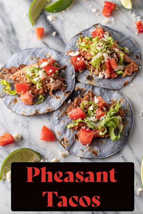 Pheasant Recipes Slow Cooker, Pioneer Recipes, Pheasant Recipes, Small Slow Cooker, Savory Recipe, Game Recipes, Dinner Prep, Taco Meat, Wild Game