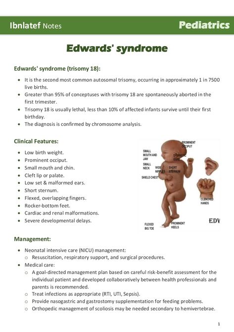 Edwards Syndrome, Heart Defect, Genetic Disorders, Medical School Essentials, Medical School Studying, School Essentials, Medical School, Pharmacy, Pediatrics