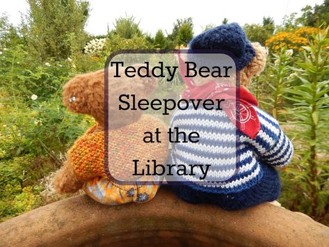 Teddy Bear Sleepover at the Library! Stuffed Animal Sleepover, Reward Ideas, Reading Rewards, Animal Eating, Potty Training Tips, Fashion Crafts, Three Boys, Unschooling, Reading Ideas