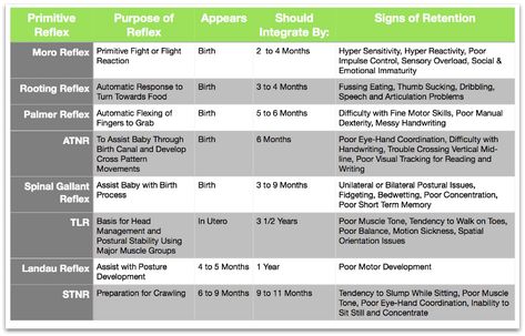 Retained Primitive Reflexes as a Sign of Brain Imbalance Infant Reflexes, Reflex Integration, Low Muscle Tone, Brain Balance, Primitive Reflexes, Pediatric Physical Therapy, Sensory Motor, Vision Therapy, Pediatric Occupational Therapy