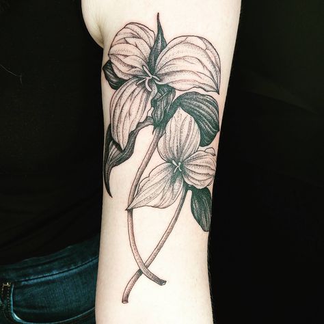 Trillium flowers done by Hailey at Great Whale Tattoo in Madison WI. #tattoos #tattoo #beauty White Trillium Tattoo, Trillium Flower Tattoo, Trillium Tattoo, White Trillium, Trillium Flower, Sister Tat, Apple Tattoo, Roots Tattoo, State Tattoos