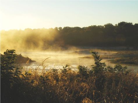 edwardsville, illinois Illinois Aesthetic, Illinois Landscape, Edwardsville Illinois, Time In Nature, Nature Walk, Santa Monica California, Beautiful Dark Art, Nature Center, Walking In Nature