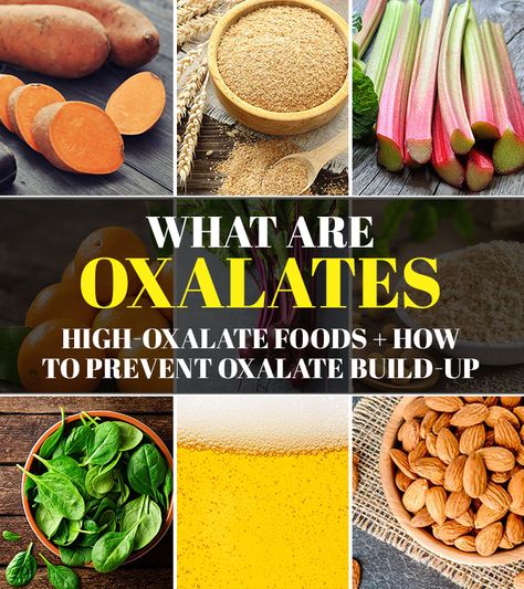 What Are Oxalates: High-Oxalate Foods + How To Prevent Oxalate Build-up Oxalate Food List, Low Oxalate Foods, Kidney Stone Diet, Low Oxalate Recipes, Kidney Diet Recipes, Low Oxalate Diet, Oxalate Diet, Animal Foods, Burn 500 Calories