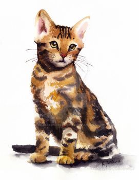 Watercolour Artists, Watercolor Cats, Kitten Drawing, Simple Acrylic, Happy Hippie, Cat Artwork, Animals Art, Watercolor Cat, Tshirt Ideas