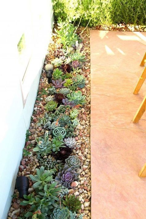 Succulent Garden Outdoor, Succulent Garden Landscape, Cool Tricks, Succulent Landscape Design, Succulent Landscaping, Succulent Garden Design, Rock Garden Landscaping, Garden Pond, Front Yard Garden