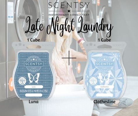 Scentsy Mixology, Scentsy Recipes, Scentsy Consultant Ideas, Scentsy Scent, Electric Candle Warmers, Wickless Candles, Scentsy Consultant, Laundry Products, Wax Warmers