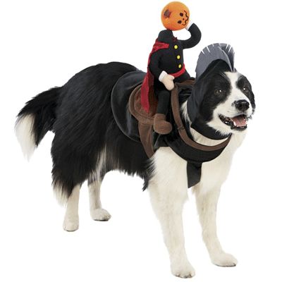 Cute Pet Halloween Costumes:   Want to involve your precious pets in the Halloween festivities? Yoda Dog Costume, Dog Costumes For Kids, Large Dog Costumes, Small Dog Costumes, Dog Fancy Dress, Dog Costumes Funny, Costumes For Halloween, Food Costumes, Headless Horseman