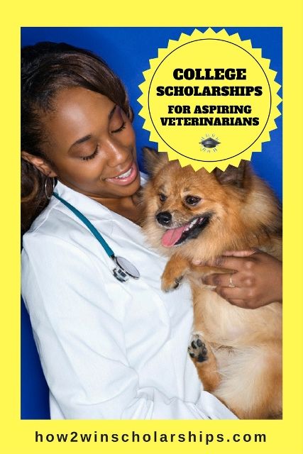 College Scholarships for Aspiring Veterinarians College Advising, Educational Tips, Grants For College, Financial Aid For College, Student Scholarships, College Scholarships, Education University, Lifestyle Board, Vet School