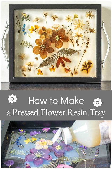 Create this easy pressed flower resin tray from your own flowers and a deep picture frame. Makes a nice gift for a special occasion. #diycrafts #flowercrafts #handmadegifts Diy Resin Tray With Flowers, How To Make A Resin Tray With Flowers, Pressed Flower Wooden Tray, How To Make Pressed Flower Art, Flower Resin Tray Diy, Pressed Flower Tray, Epoxy Picture Frame, Dried Flower Resin Tray, Dried Flowers Resin Art