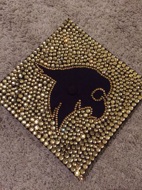 DIY Texas State graduation cap Texas State Graduation Cap, Texas State University Graduation Cap, Texas State Graduation Party, Senior Scrapbook Ideas, Graduate Photos, College Mascot, College Grad Cap Ideas, College Graduation Pictures Poses, Diet Changes