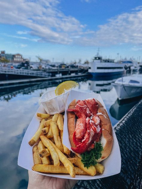 Portland Lobster Company, Portland Maine Restaurants, Fried Whole Fish, Lunch Photos, Steamed Lobster, Best Lobster Roll, Best Bagels, Portland Maine, Pork Rinds