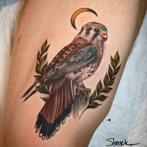 Bobbi Stark on Instagram: “Here's a Kestrel on a very rad client! More like this forever, please. #tattoosbybobbistark #americankestrel #keepsakestudio…” Kestrel Tattoo Design, Kestrel Tattoo, American Kestrel Tattoo, Raccoon Tattoo, Kestrel, Human Canvas, Weird Tattoos, Book Tattoo, Traditional Tattoo Art