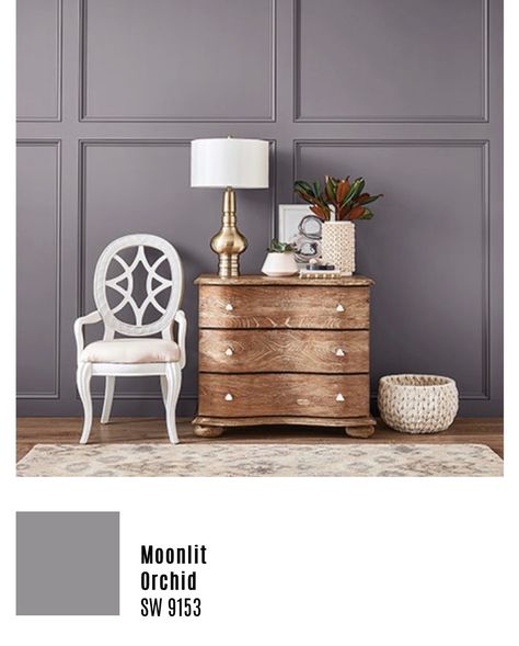 Moonlit orchid SW 9153 Brown Interior Paint, Interior Paint Palettes, Classy Living Room, House Paint Interior, Interior Color Schemes, Palette Design, Bedroom Wall Paint, Interior Painting, Brown Interior