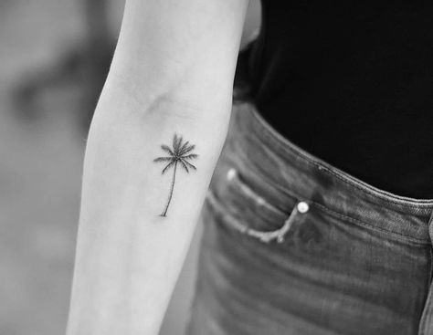 Tattoo For Women Ideas, Tree Tattoo Forearm, Tattoo Tree, Inner Forearm Tattoo, Palm Tattoos, Tropical Palm Trees, Inner Forearm, Palm Tree Tattoo, Cute Little Tattoos