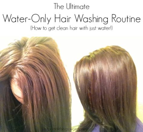 3 Month Update: The Ultimate Water Only Hair Washing Routine – [No Shampoo!] – RESULTS « Just Primal Things No Shampoo Method, Water Only Hair Washing, Healthy Reminders, No Shampoo, Mens Beauty, Oily Roots, Hair Washing Routine, Hello Hair, Hair Clean