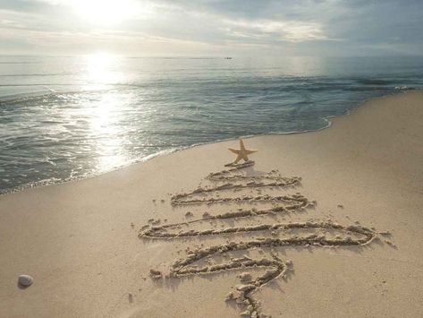 Beach Christmas Card Photo, Christmas Beach Photos, Beach Christmas Pictures, Christmas Abroad, Beach Christmas Card, Christmas Instagram Pictures, Christmas Card Pictures, Florida Christmas, Christmas Beach