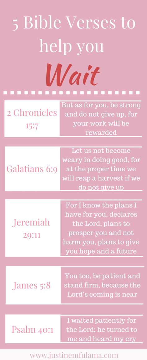 Verses About Patience, Bible Verses About Patience, Quotes About Strength Women, Single Parent Quotes, Strength Bible Quotes, Strength Bible, God's Timing, Patience Quotes, Bible Readings