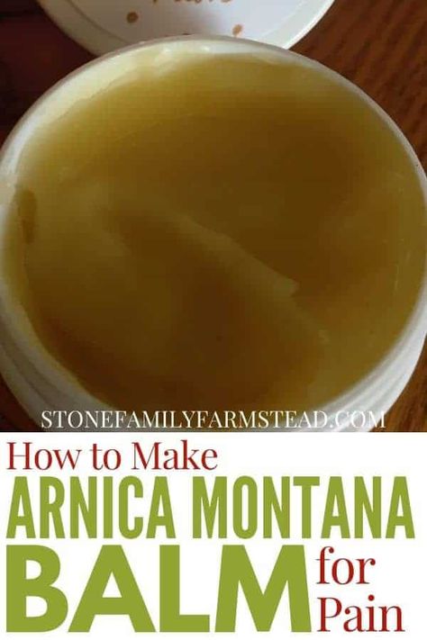 Dried Arnica Flower Uses, Arnica Flower Uses, Diy Arnica Salve, Arnica Montana Benefits, Arnica Salve Recipe, Arnica Benefits, Herb Flowers, Herbal Salve Recipes, Arnica Salve