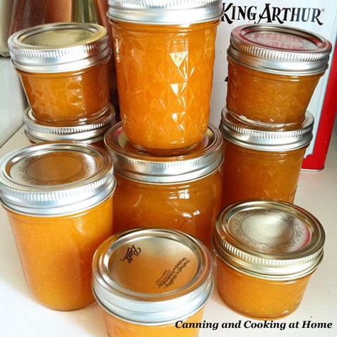 SlowCooker Peach Honey Fruit-butter  - CANNING AND COOKING AT HOME Fruit Butters, Peach Honey, Flavored Butters, Homestead Style, Fruit Butter, Freezing Fruit, Peach Butter, Canned Fruits, Peach Recipes