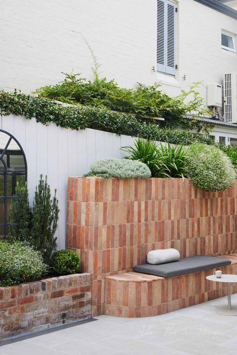 Landscape Design Woollahra Entertainers Terrace — Adam Robinson Design Modern Mediterranean Garden, Best Garden Design, Modern Mediterranean, Mediterranean Garden, Back Garden, Year 2024, Outdoor Fire, Outdoor Oasis, Backyard Pool