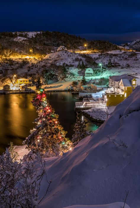 Newfoundland Christmas, Canada Christmas, Newfoundland, Pretty Wallpapers, Wallpapers, Water, Christmas