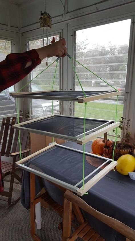 Diy Plant Drying Rack, Sun Drying Rack, Herb Drying Rack Diy Frames, Herb Drying Rack Diy, Diy Herb Drying Rack, Herb Drying Rack, Old Window Screens, Herb Rack, Herb Drying