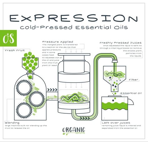 Essential Oils Process Botanical Store, Essential Oil Still, Herbal Diy, Oil Distiller, Essential Oil Distiller, Herbal Therapy, Essential Oil Extraction, Making Essential Oils, Survival Life Hacks