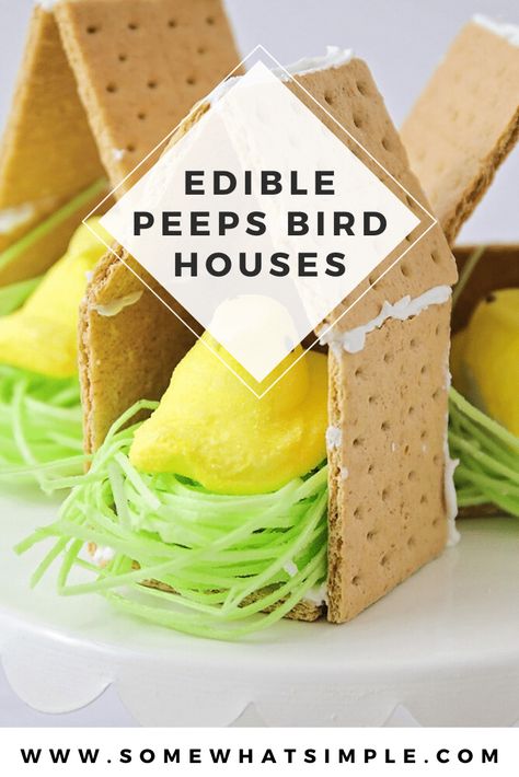 This Peeps Bird House is a fun Spring twist on the classic graham cracker gingerbread house! #Easter #GingerbreadHouse #Easy #Treat #spring #grahamcracker #peeps via @somewhatsimple Ginger Bread House Making, Edible Birdhouse, Graham Cracker Gingerbread, Easter Gingerbread House, Graham Cracker Gingerbread House, Easy Treat, Spring Twists, Bunny House, Easter Projects