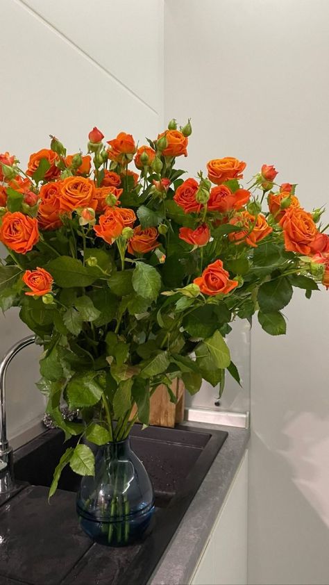 Buy Me Flowers, Boquette Flowers, Nothing But Flowers, Flower Therapy, Beautiful Bouquet Of Flowers, Orange Roses, Rose Rouge, Beautiful Rose Flowers, Plant Mom