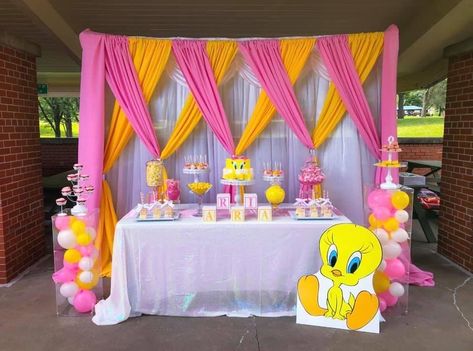 Tweety Bird Birthday Party, Tweety Bird Birthday, Bird Birthday Party, Blue's Clues Birthday Party, Surprise Birthday Decorations, Baby Gender Reveal Party Decorations, Bird Baby Shower, Bird Birthday Parties, Baby Shower Party Themes