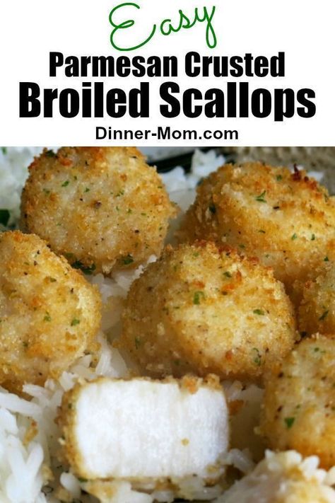 Broiled Scallops, Easy Scallop Recipes, Seafood Scallops, Fried Scallops, Canned Seafood, Baked Scallops, Seafood Entrees, Best Seafood Recipes, Easy Seafood