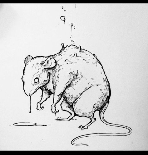 Rat Drawing Reference, Drawing Reference Sketch, Rat Sketch, Sorie Kim, Animal Drawing Inspiration, Rat Drawing, Sketchbook Project, Sketch Journal, Tattoo Portfolio