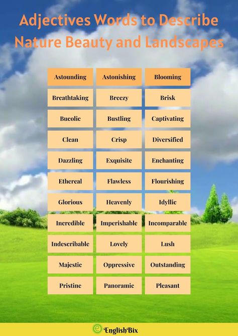 Unique Adjectives, Ocean Forest, Adjective Words, Best Character Names, Descriptive Words, Learn English Grammar, Good Vocabulary Words, Good Vocabulary, Outdoor Classroom