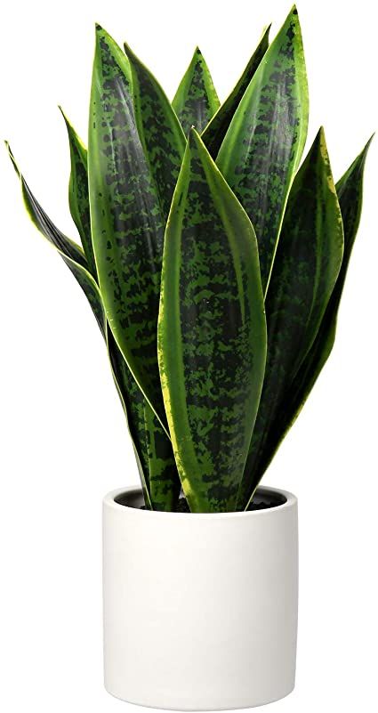 Indoor Green Plants, Fake House Plants, Fake Potted Plants, Sansevieria Plant, Fake Plants Decor, Philodendron Plant, Artificial Potted Plants, Floor Plants, Artificial Boxwood