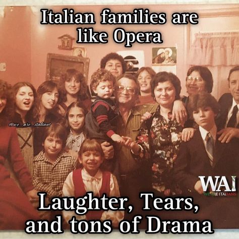 Italian Family Quotes, Funny Italian Memes, Italian Memes, Italian Family, Italian Humor, Family Quotes, Opera, Drama, Inspirational Quotes