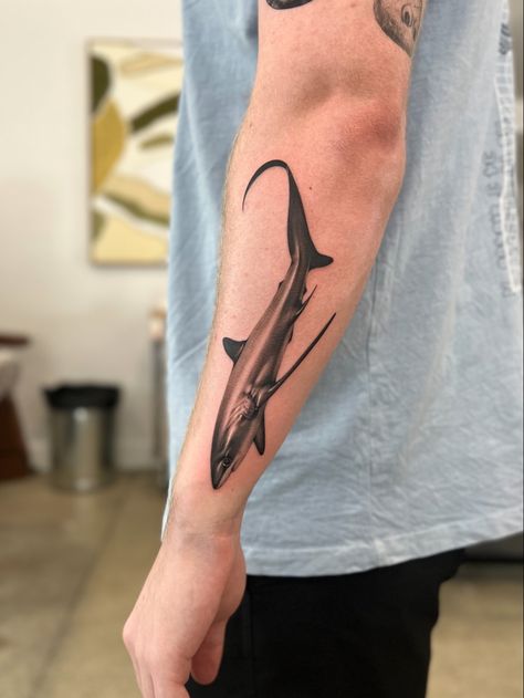 shark tattoo realism Men’s Shark Tattoo, Thrasher Shark Tattoo, Black Tip Reef Shark Tattoo, Shark Forearm Tattoo, Shark Tattoo Arm, Thresher Shark Tattoo, Shark Tattoo Men, Shark Tattoo Sleeve, Shark Tattoo Design