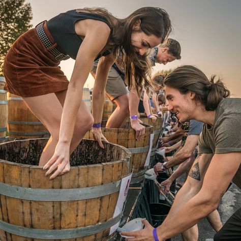 THANK YOU!!...to everyone who came out to stomp with us at our annual grape stomp and harvest festival! You all made it so much fun and we… Wine Stomping, Grape Stomping, Grape Festival, Grape Harvest, Grape Harvesting, Harvest Party, Harvest Festival, Elle Fanning, Napa Valley