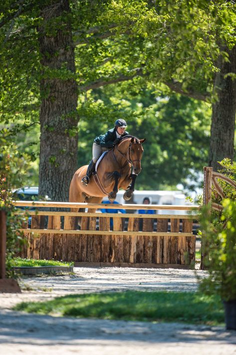 5 Show-Ring Tips to Help You Ace Your Hunter Rounds. Are you gearing up for show season? Here are a few tips from some of our favorite experts to help you and your horse perform your best hunter rounds. Hunter Horse Show, Hunter Course, Ring Tips, Hunter Horse, Horse Breeding, Hunter Jumper, Horse Stuff, Horse Breeds, Dream Board