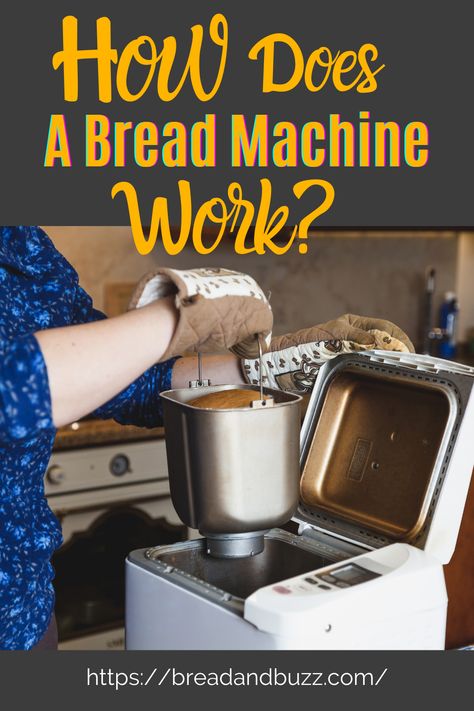 Breadman Bread Machine, Breadmaker Bread, Carnivore Bread, Gourmet Bread, Baker Bread, Bread Making Machine, Gluten Free Bread Machine, Bread Machines, Bread Maker Machine