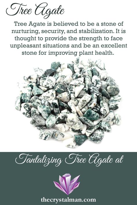 Tree Agate Meaning, Types Of Agate, Stone Meanings, Agate Meaning, Wholesale Crystals, Earth Gift, Cleansing Crystals, Crystals Healing Properties, Tree Agate