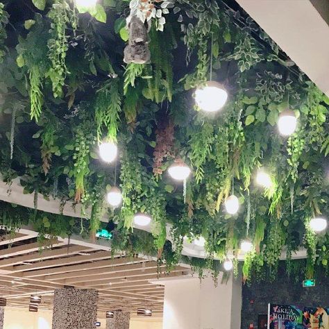 Greenery On Ceiling Bedroom, Hanging Plant Chandelier, Faux Flower Ceiling, Ceiling Plants Hanging, Greenery Hanging From Ceiling, Viridian Wedding, Plants Hanging From Ceiling, Artificial Ceiling, Ceiling Greenery