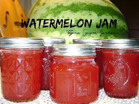 Canning Watermelon, Watermelon Jam, Watermelon Jelly, Watermelon Patch, Canning Fruit, Canning Jam, Jam Recipes Homemade, Canned Food Storage, Canning Tips