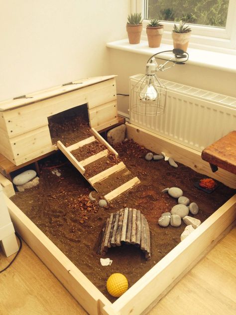 How to make Indoor Tortoise Enclosure? [Easy 7 Steps] | Pets Nurturing Tartaruga Habitat, Tortoise Diet, Tortoise Cage, Turtle Enclosure, Russian Tortoise Diet, Turtle Homes, Tortoise House, Tortoise Table, Tortoise Enclosure