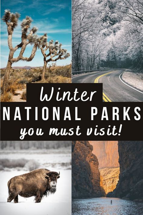 Hiking Desert, Hiking Usa, Congaree National Park, Guadalupe Mountains National Park, Winter Vacations, Winter Travel Destinations, Saguaro National Park, Best National Parks, Badlands National Park