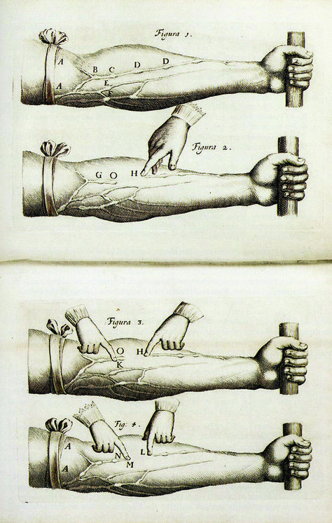 William Harvey "De Motu Cordis" ("On the Motion of the Heart and Blood") 1628. What Is Knowledge, William Harvey, Art Research, 9th Grade, History Museum, Body And Soul, Anatomy, Motion, Medical