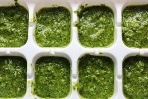 Pesto in ice cube tray Frozen Pesto Cubes, Diy Pesto, Freezing Pesto, Homemade Basil Pesto, Gluten Free Pesto, Dairy Free Pesto, Basil Pesto Recipes, Basil Plant, Homemade Pesto