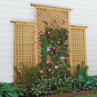 lattice projects | lattice trellis backyard project | Back and Front Garden Ideas Wall Climbing Plants, Building A Trellis, Outdoors Ideas, Enchiladas Verdes, Jardim Diy, Lattice Trellis, Enchiladas Recipe, Backyard Buildings, Diy Trellis