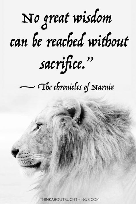 Dive into the wonderful world of Narnia. These chronicles of Narnia quotes will have you reliving those moments of reading or watching the beloved series. The quotes from C.S Lewis range from Aslan Quotes, the Lion, the Witch, and the Wardrobe quotes, and so much more. Aslan Narnia is such a huge part and you will love these sayings and quotes. #aslan #quotes #Narnia #cslewis #narniaquotes Chronicles Of Narnia Quotes, Wardrobe Quotes, Mere Christianity Quotes, Aslan Quotes, Narnia Quotes, Quotes Literature, Cs Lewis Quotes, Lion Quotes, Typed Quotes