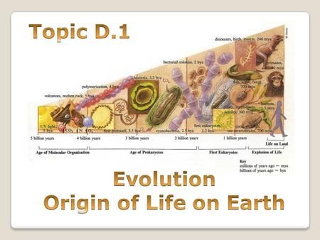 Origin Of Life On Earth, History Of Life On Earth, Continental Drift, Organic Molecules, Plant Fungus, Earth And Space Science, Natural Selection, Symbiotic Relationships, Life On Earth