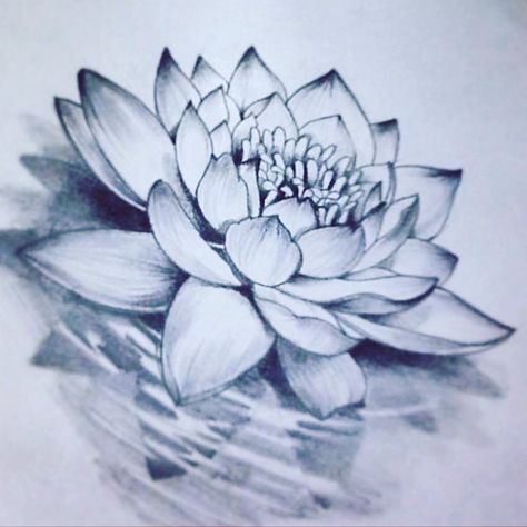 Lotus flower Tato Mandala, Wildflowers Tattoo, Lotusblume Tattoo, Lotus Flower Drawing, Water Lily Tattoos, Lotus Drawing, Realistisches Tattoo, Lily Tattoo Design, Water Tattoo